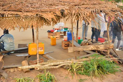 DSC_4278 (Large).JPG